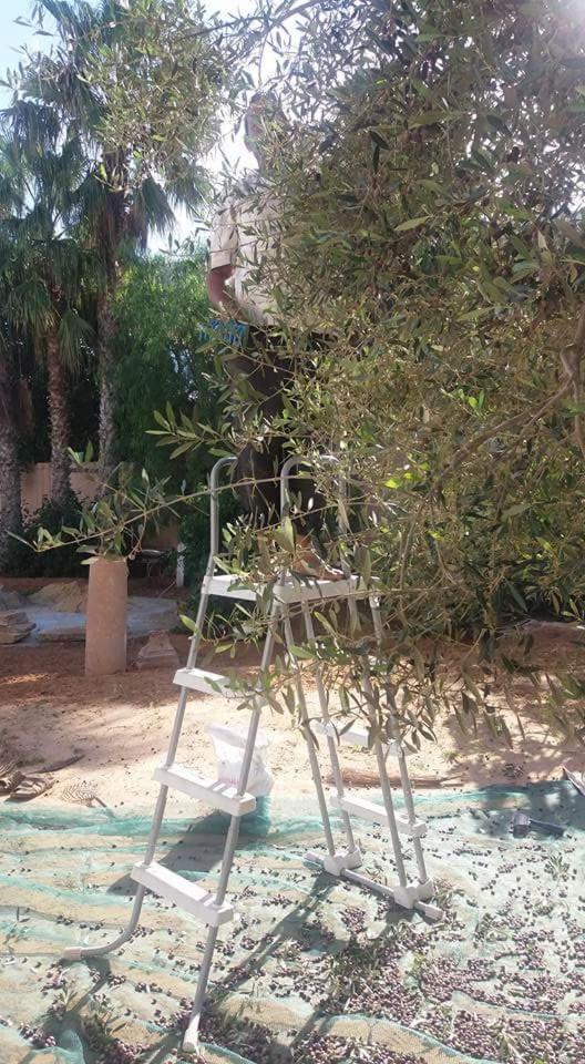 Maison D'Hotes Dar Salma Sfax Exterior photo